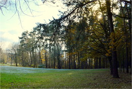 Im Herbst Park / ***