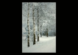 Winter-Skizzen / ***