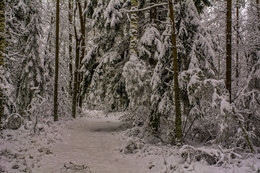 Wintermärchen / ***