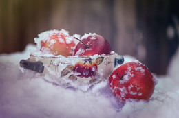 Apples im Schnee / ...