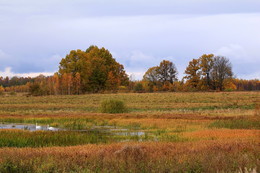 Autumn Pastoral / ***