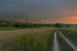 Straße in einem Feld / ***