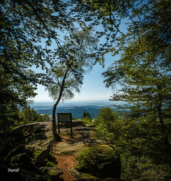 Bayerischer Wald / Bayerischer Wald