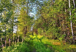 Air Leichtigkeit / ***