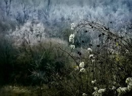 Season of Mists / ***