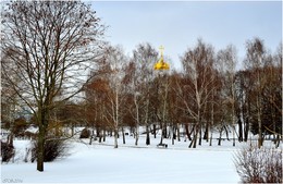 Winter im Park / ***