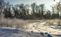 Spuren im Schnee / ***