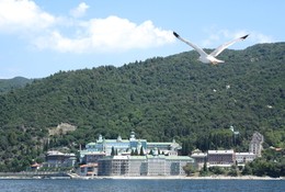 &nbsp; / Seagull and Mount Athos, Halkidiki, Greece