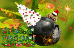 Frohes Neues Jahr! / ***