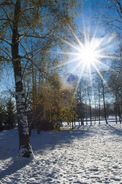 Frost und Sonne. / ***