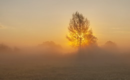 Frühling Morgendämmerung / ***