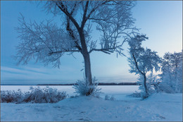 Kältesten Januar / ***