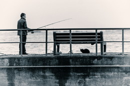 cat and fisherman / No comments.