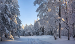 Wintermärchen / ***