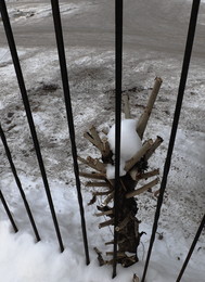 hinter Gittern / ***