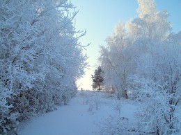 Wintermärchen / ***