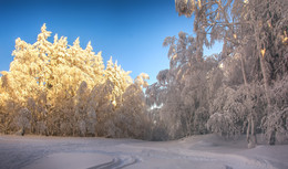 Srolnechnaya Glade / ***