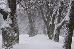 Winter Park / ***
