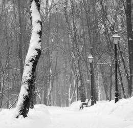 Schneesturm / ***