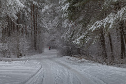 Im Wald / ***