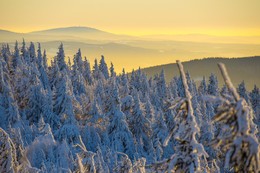 Winterlandschaft / ***