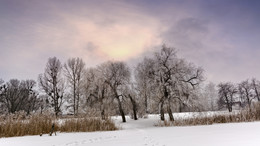 Winter Beach / ***