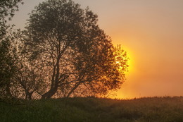 Frühlingsmorgen / ***