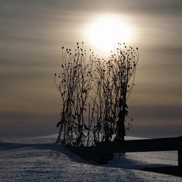 &nbsp; / music: Angelique Kidjo - Summertime
https://www.youtube.com/watch?v=RYk670bY2-s