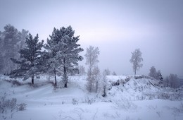 Winter-Skizzen. / ***