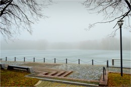 Nebel im Park / ***