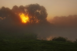 im Spätsommer / ***
