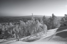 Winter-Etüde. / ***