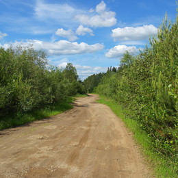 Nebenstraßen / ...