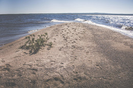 sand and water / No comments.