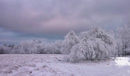 Nach Schneefall / ***