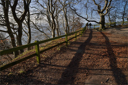 Eine schöne denek / ***