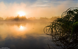 Früh am Morgen / ***