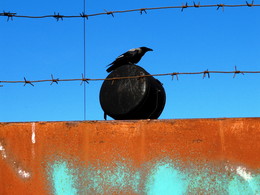Leben rund um / ***