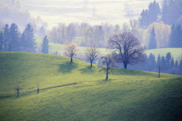 Foggy awakening / Foggy fields in the spring