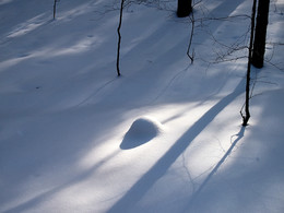 Licht und Schatten. / ***