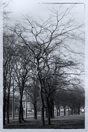 Frühling / \\\
