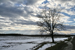 Der Frühling kommt / ***