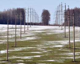 Der Frühling kommt / /\/\/\/\