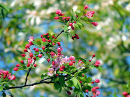 Der Frühling kommt / https://www.youtube.com/watch?v=fSbNReQ1jvQ