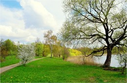 Der Frühling kommt / ***