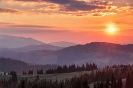 Der Frühling kommt / ***