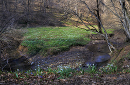 Der Frühling kommt / ***