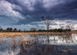 Vor dem Regen / ***