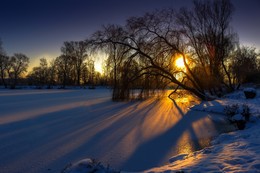 | WINTER SUNRISE | / A backlight shot in the sunrise on a cold winter morning