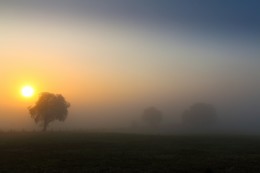 | foggy morning | / Sonnenaufgnag in Meckelneburg-Vorpommern